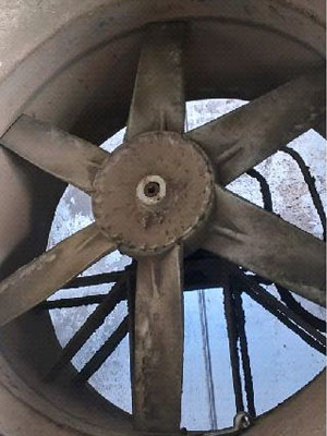 humidification plant fans