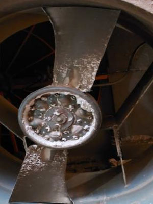 humidification plant fans